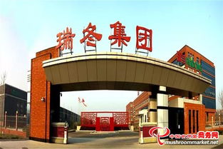 瑞冬集團業(yè)務(wù)經(jīng)理交流會 網(wǎng)絡(luò)技術(shù)服務(wù)拳頭產(chǎn)品與研制能力展示