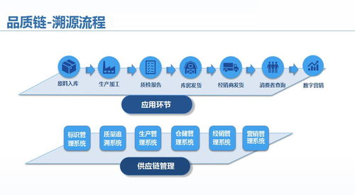 企業產品溯源系統 破解供應鏈數據孤島，信息系統集成服務的價值實踐