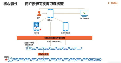 如何實現(xiàn)用戶通信授權(quán)的可信 可知 可追溯 通信授權(quán)服務(wù)技術(shù)解讀